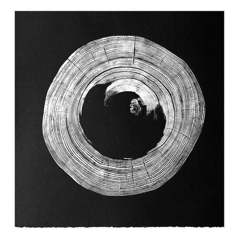"Heart Rot Elm" Tree Print - Black Paper